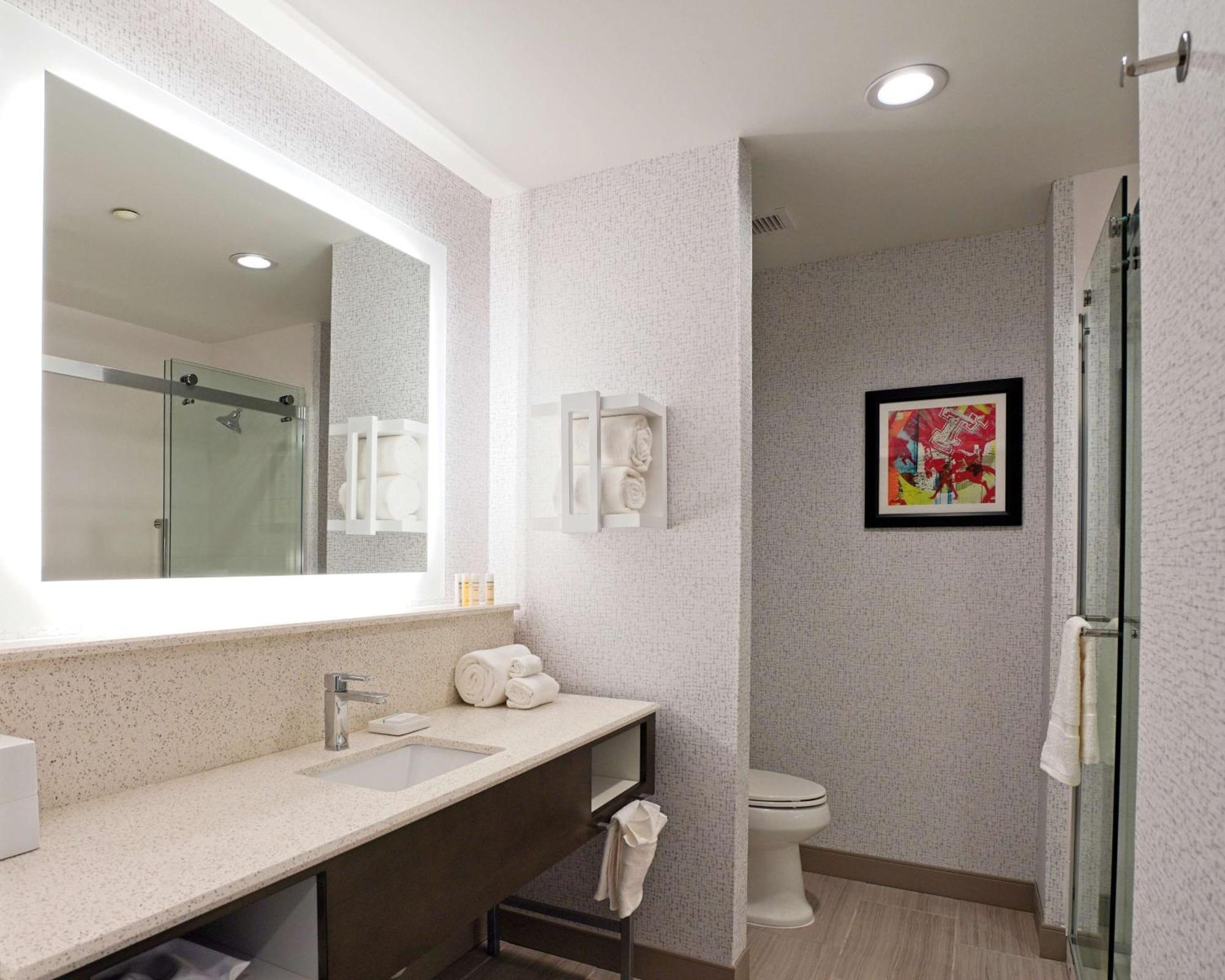 Hampton Inn & Suites Lubbock University, Tx Экстерьер фото